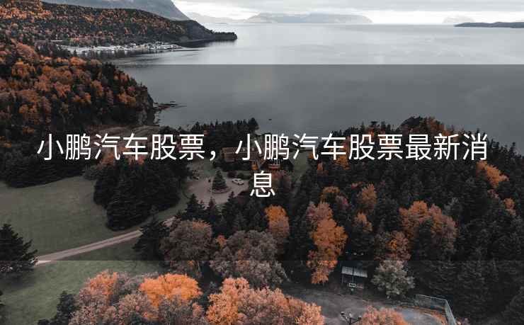 小鹏汽车股票，小鹏汽车股票最新消息