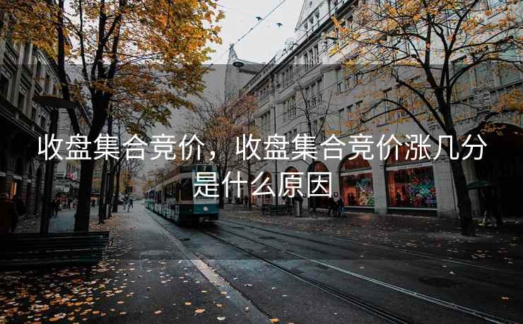 收盘集合竞价，收盘集合竞价涨几分是什么原因