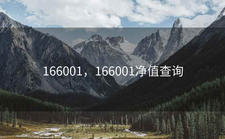 166001，166001净值查询