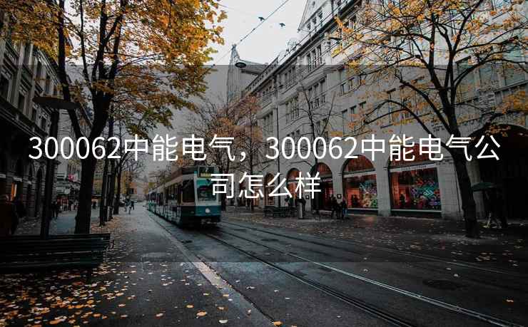 300062中能电气，300062中能电气公司怎么样