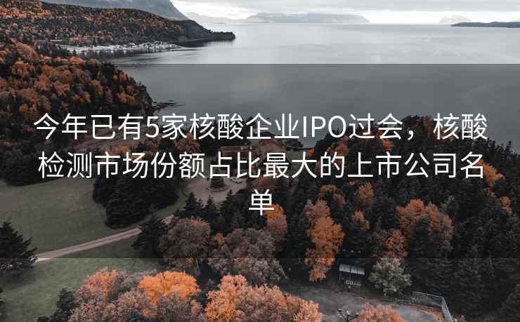 今年已有5家核酸企业IPO过会，核酸检测市场份额占比最大的上市公司名单