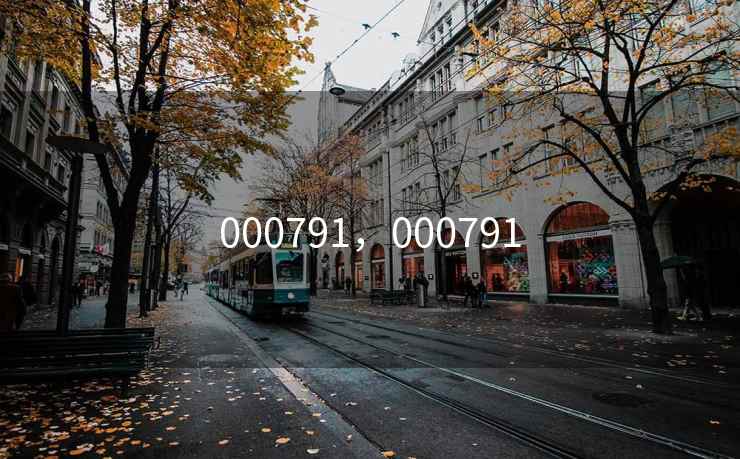 000791，000791