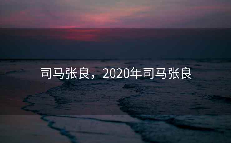 司马张良，2020年司马张良