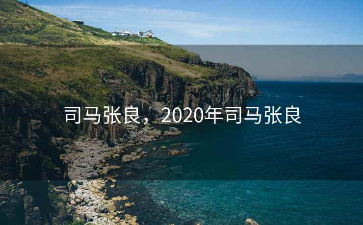 司马张良，2020年司马张良