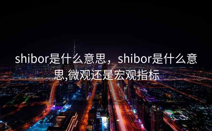 shibor是什么意思，shibor是什么意思,微观还是宏观指标