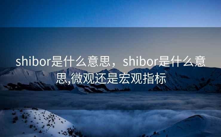 shibor是什么意思，shibor是什么意思,微观还是宏观指标