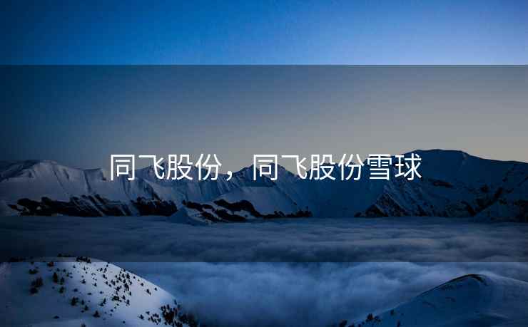 同飞股份，同飞股份雪球