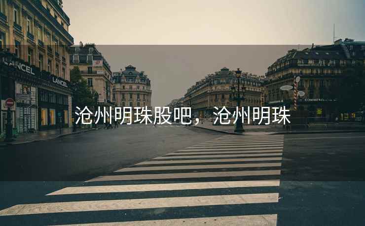 沧州明珠股吧，沧州明珠