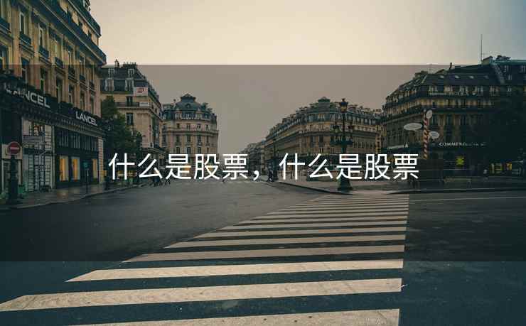 什么是股票，什么是股票