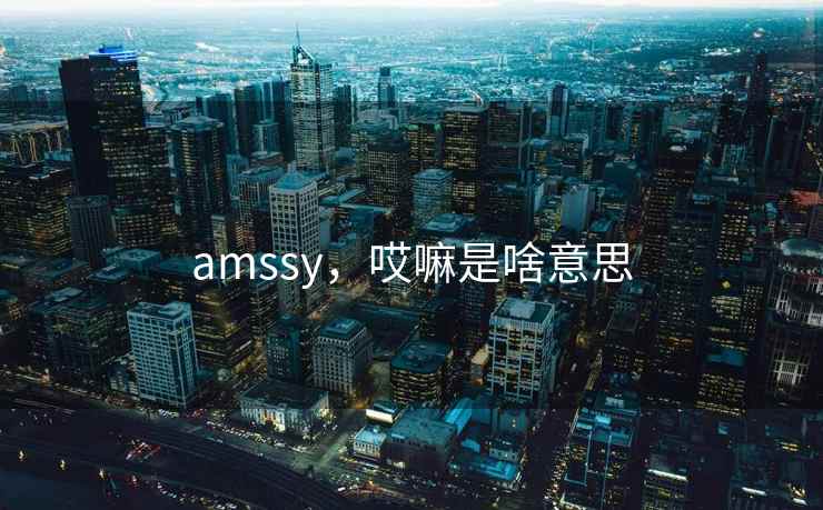 amssy，哎嘛是啥意思