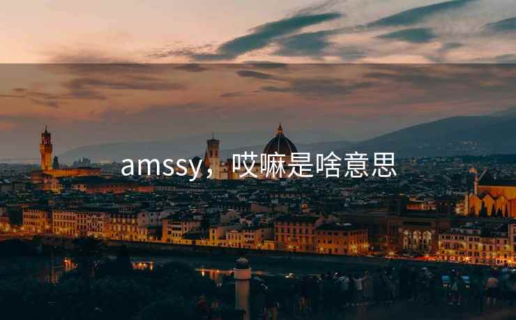 amssy，哎嘛是啥意思