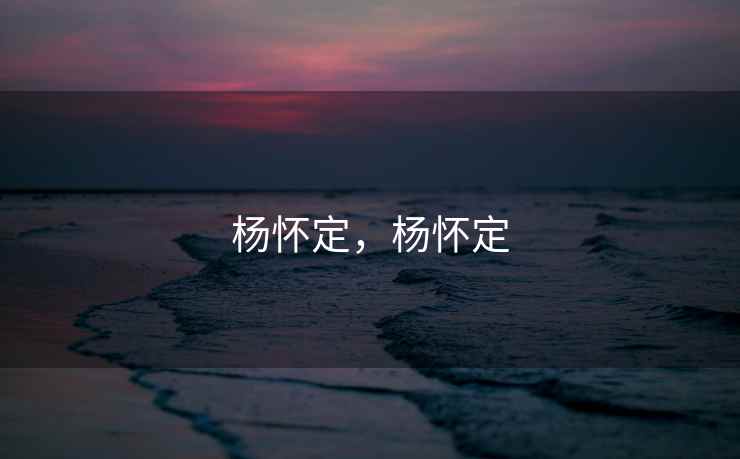 杨怀定，杨怀定
