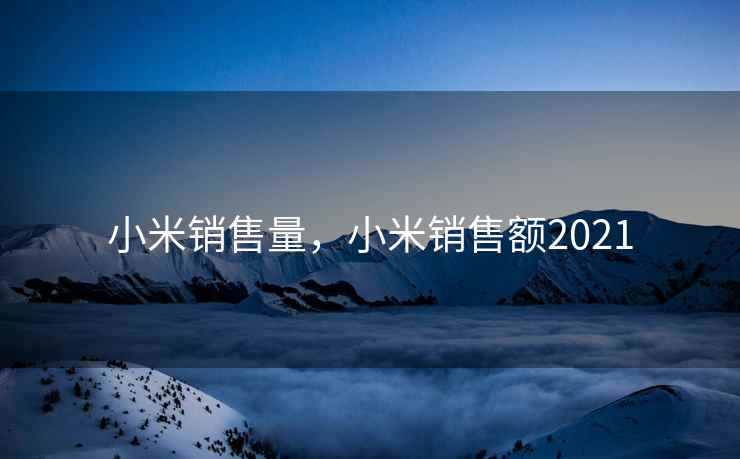 小米销售量，小米销售额2021