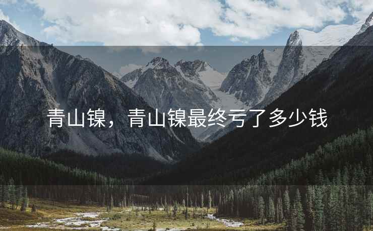青山镍，青山镍最终亏了多少钱