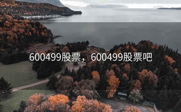 600499股票，600499股票吧