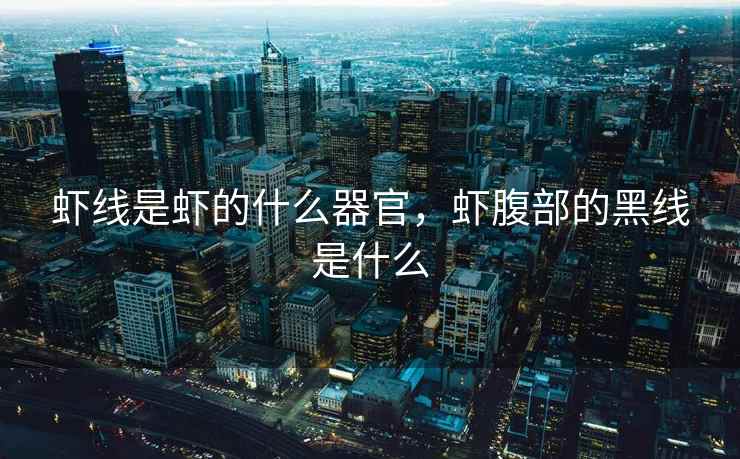 虾线是虾的什么器官，虾腹部的黑线是什么