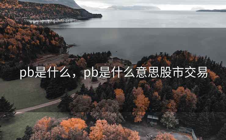 pb是什么,pb是什么意思股市交易 pb是什么,pb是什么意思股市交易