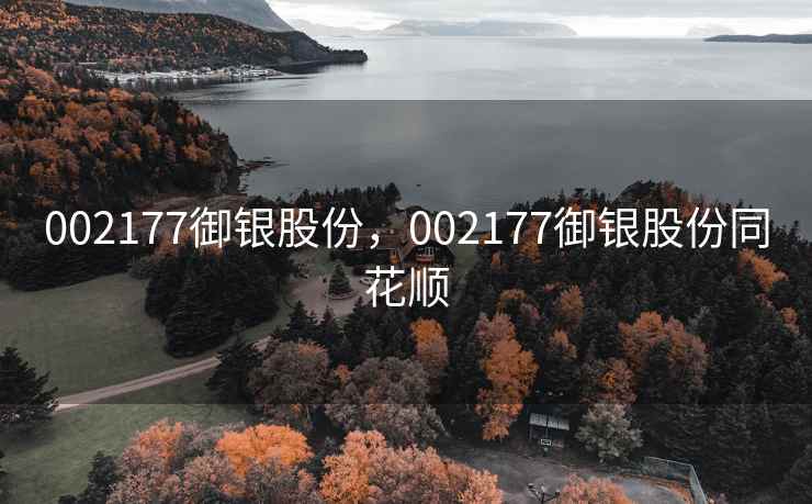 002177御银股份,002177御银股份同花顺 002177御银股份,002177御银股份同花顺