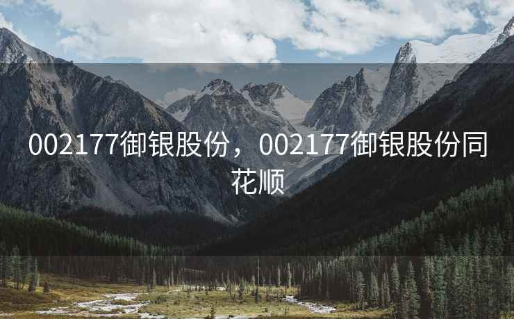 002177御银股份,002177御银股份同花顺 002177御银股份,002177御银股份同花顺